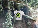 ccspriggan.jpg