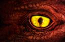 dungeon_siege__dragon_eye_by_geodex.jpg