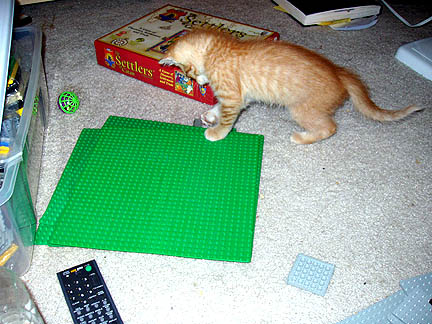 legokitty4.jpg
