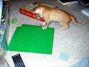 legokitty4.jpg