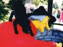 legoland2041.jpg