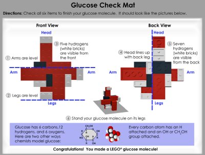 mitglucose.jpg