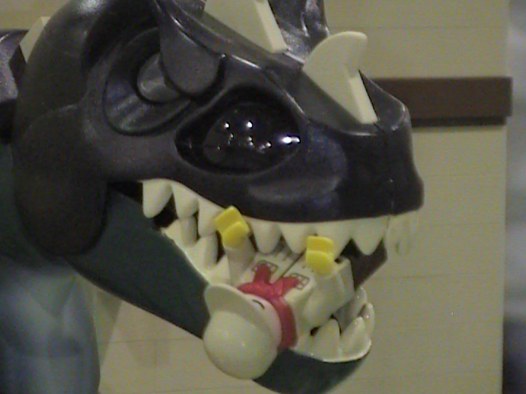dvc01863.jpg