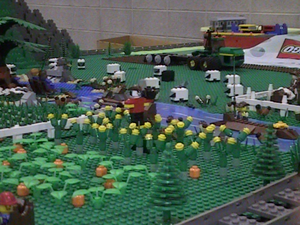dvc01866.jpg