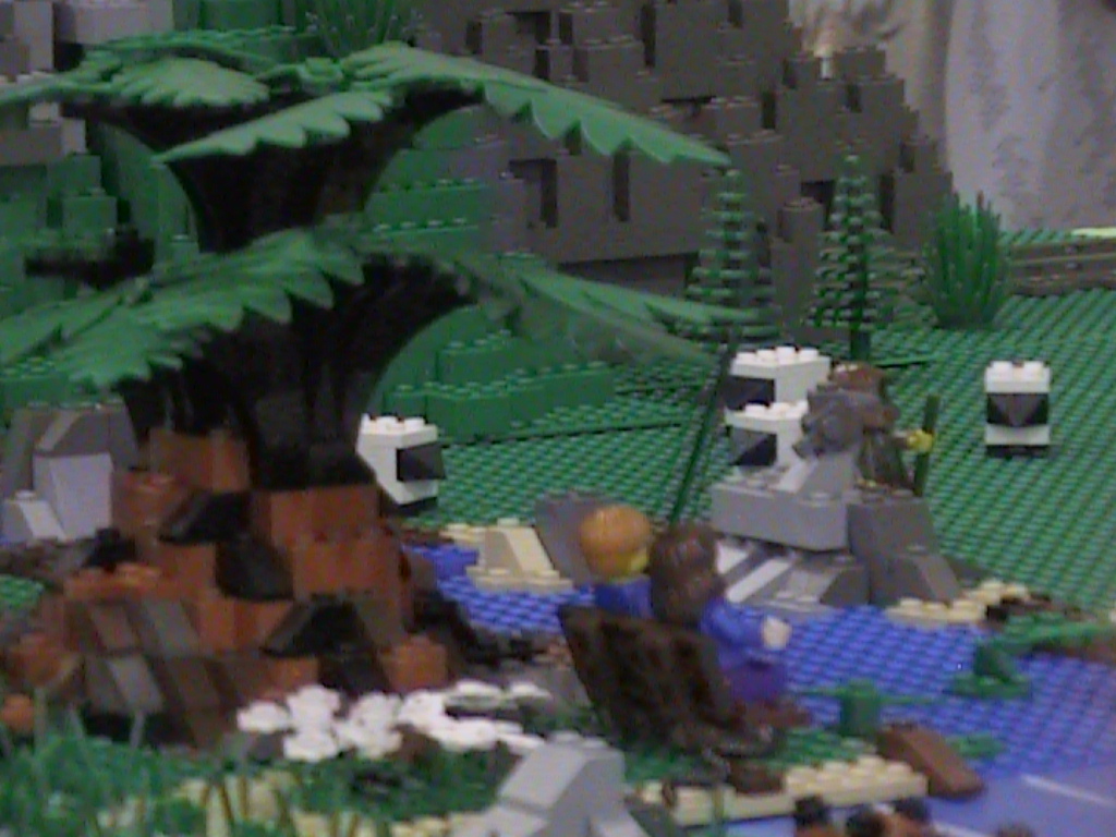 dvc01867.jpg