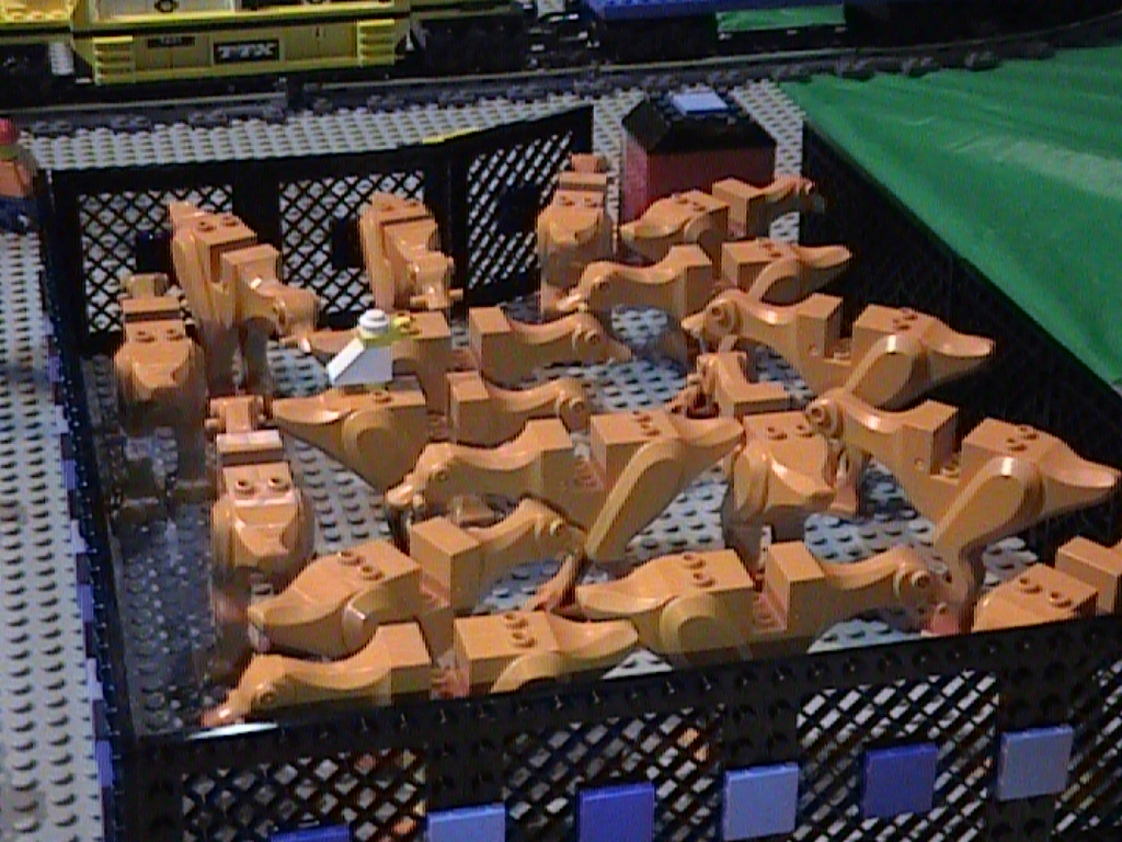 dvc01342.jpg