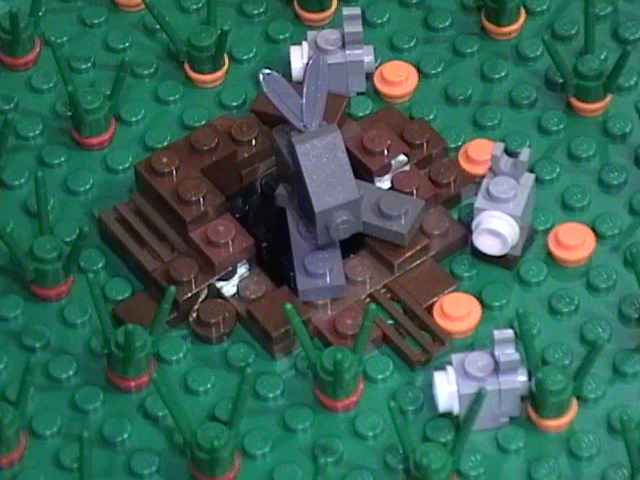 rabbits.png