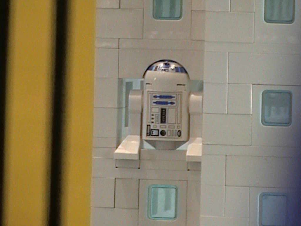 dvc02391.jpg