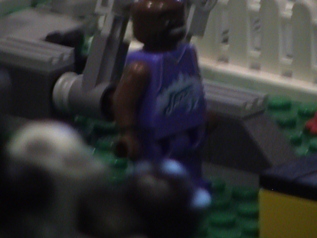 dvc02446.jpg