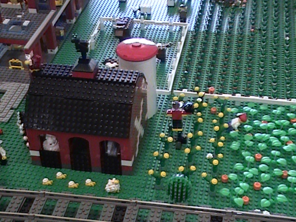 dvc02452.jpg