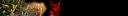 animation1.gif