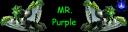 mp.jpeg