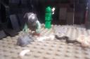 100_3499.jpg