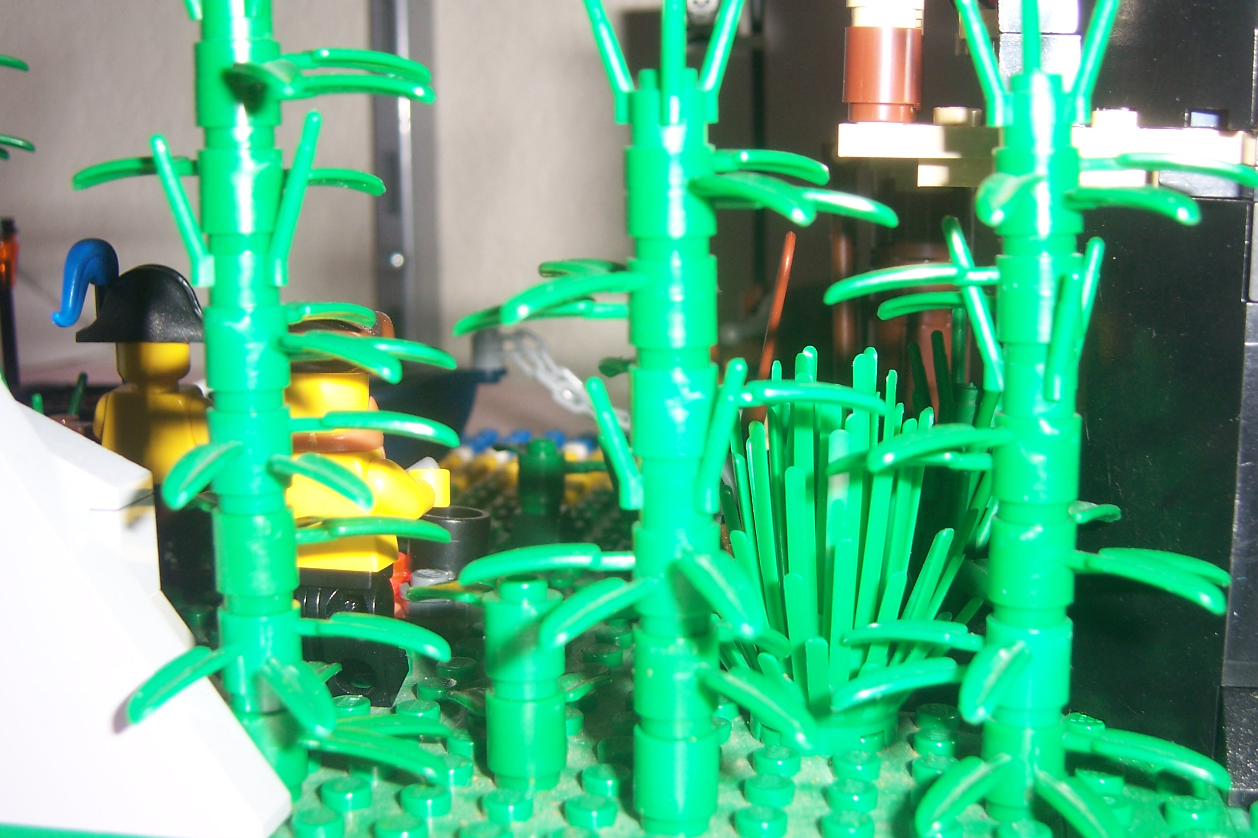 101_5251.jpg