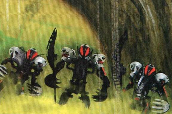 makuta_species.png