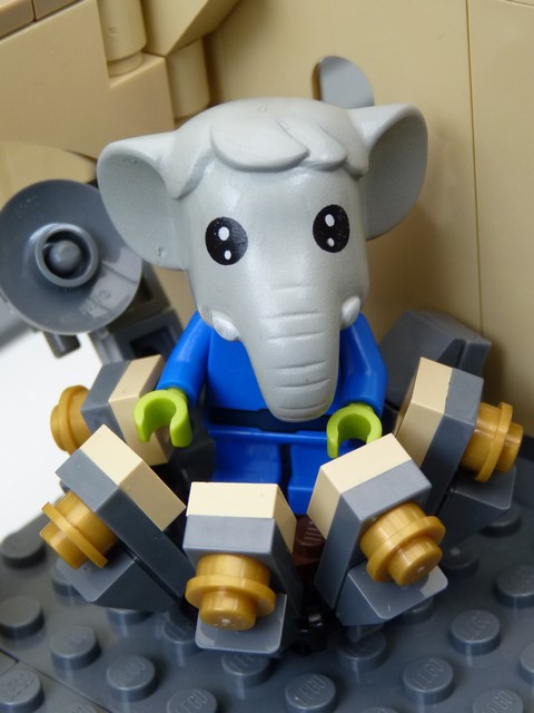 maxrebo.jpg