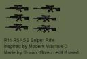 r11_rsass_v1.1.png