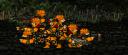 pathfinders_test.png