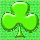 shamrock186977zs9.jpg