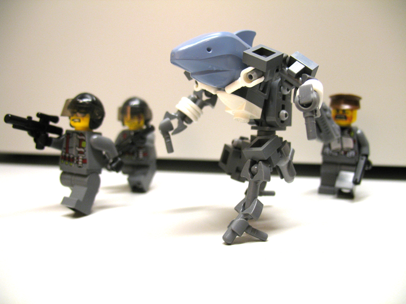 sharkdog1.jpg