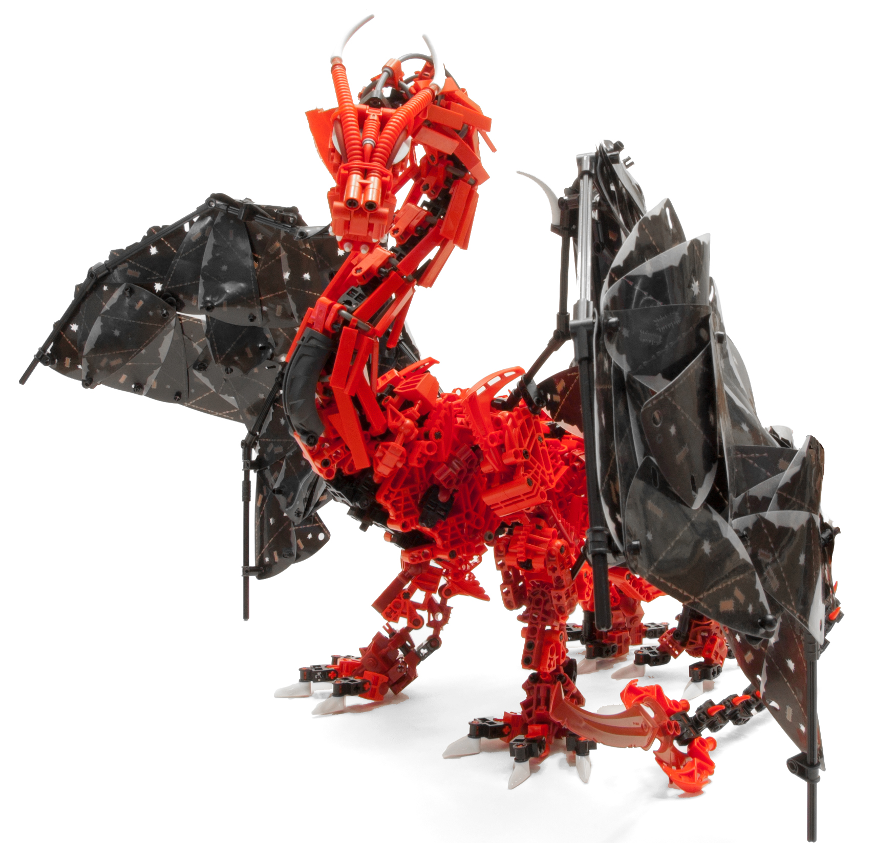 dragon000.jpg
