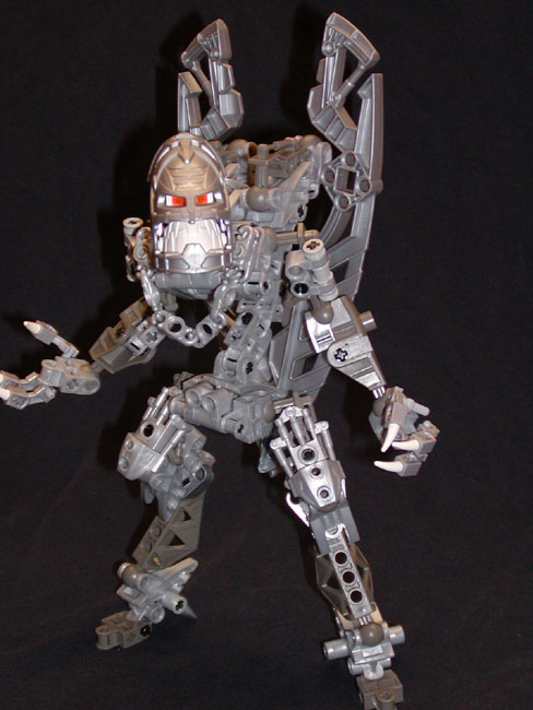 vezon01.jpg
