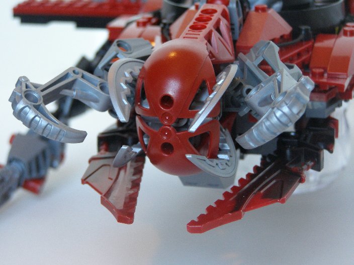 gnat10.jpg