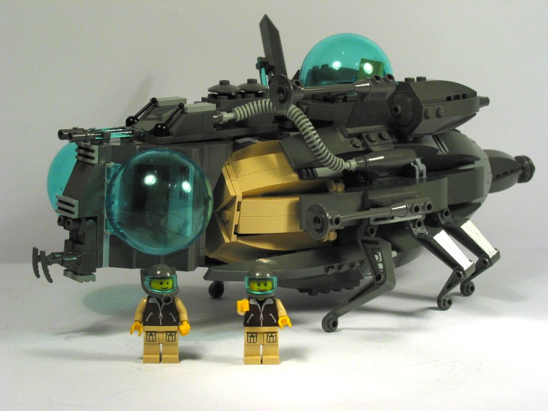 the_bug.jpg
