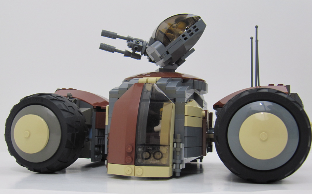 turtle_-_05.jpg