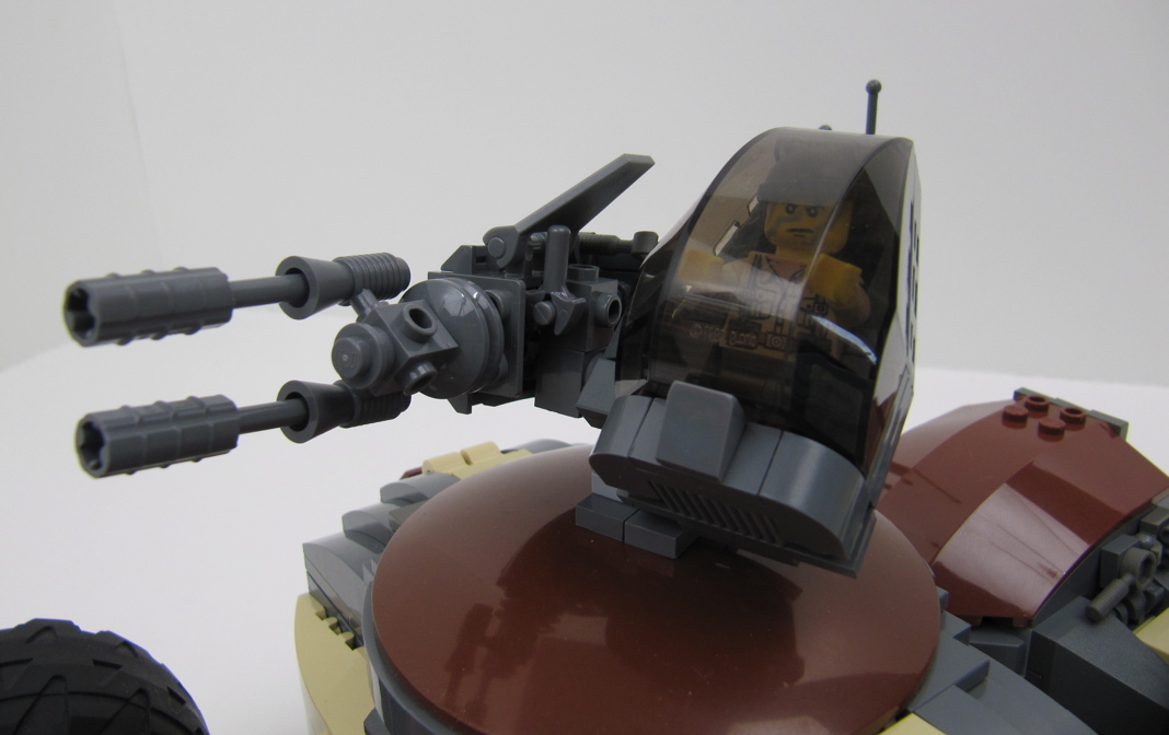turtle_-_09.jpg
