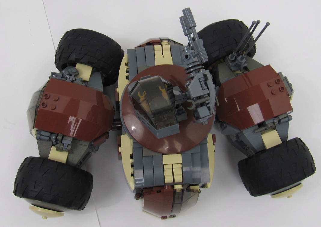 turtle_-_10.jpg