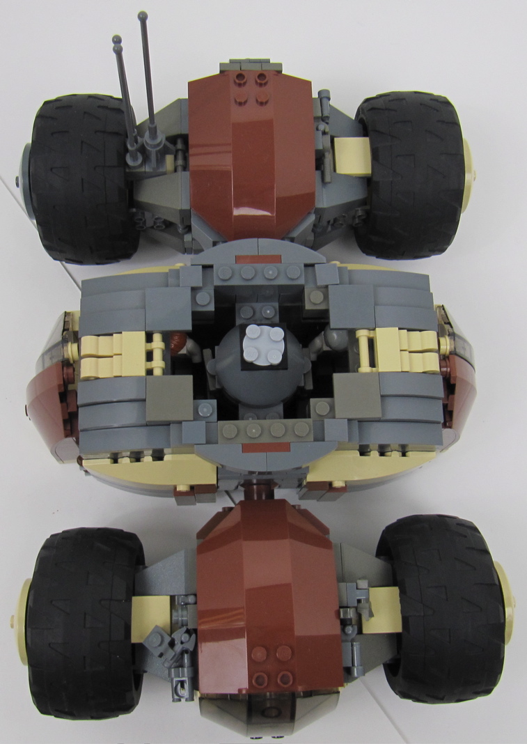 turtle_-_12.jpg