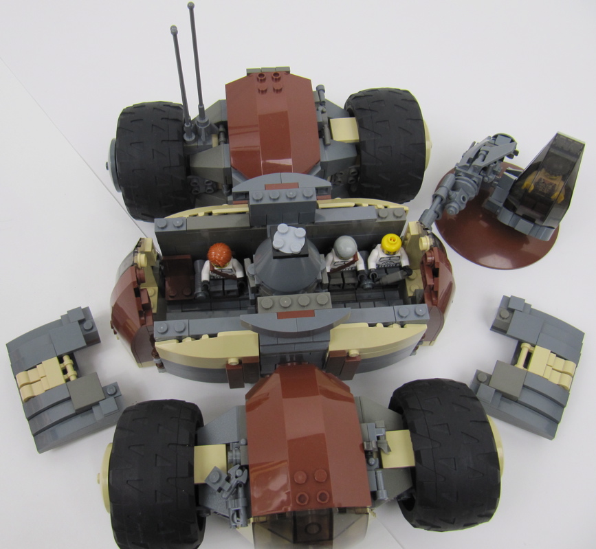 turtle_-_14.jpg