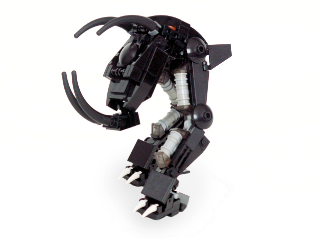m010.jpg