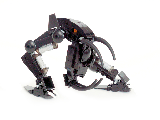 m011.jpg