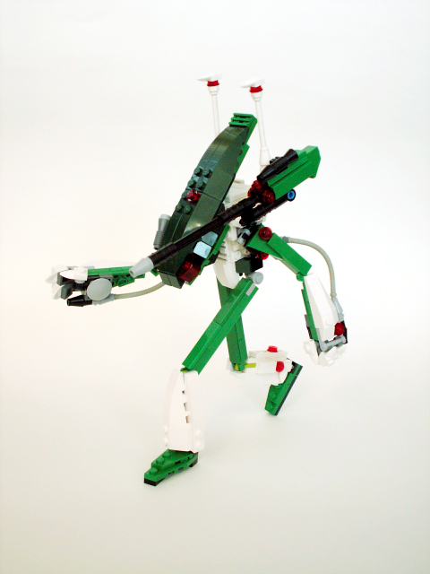 w010.jpg