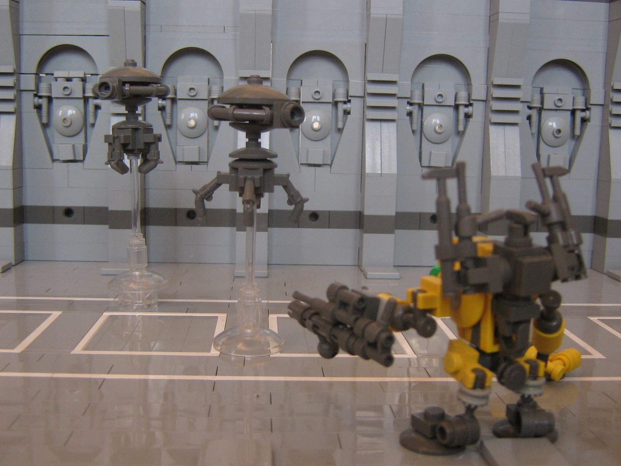 piccies_080.jpg