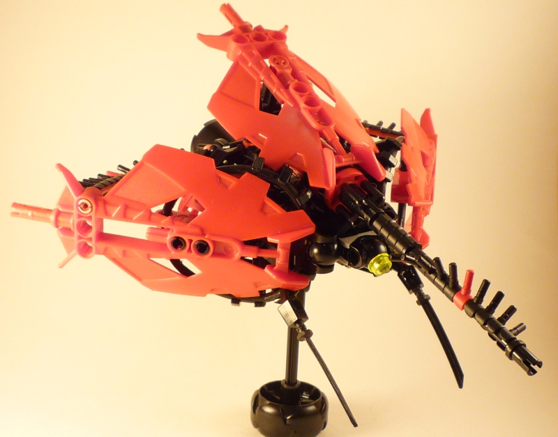corantis.jpg