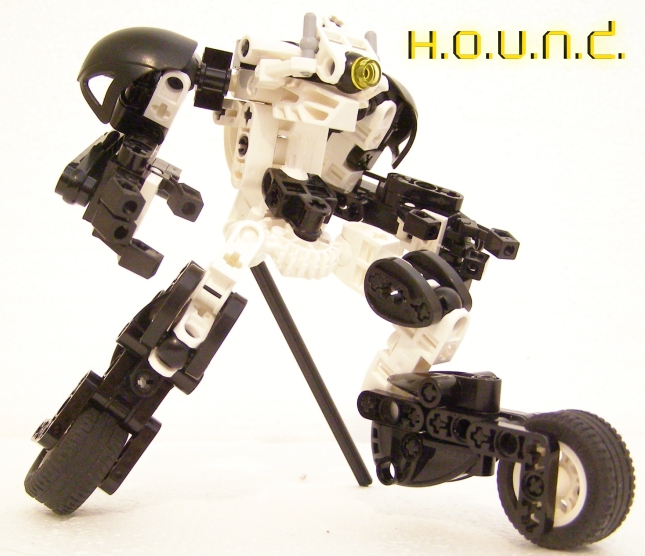 hound.jpg