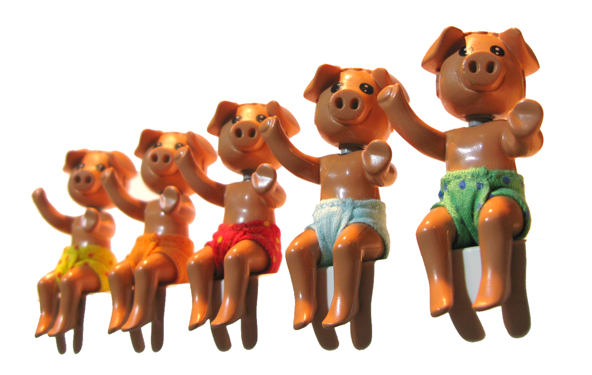 piglets.jpg