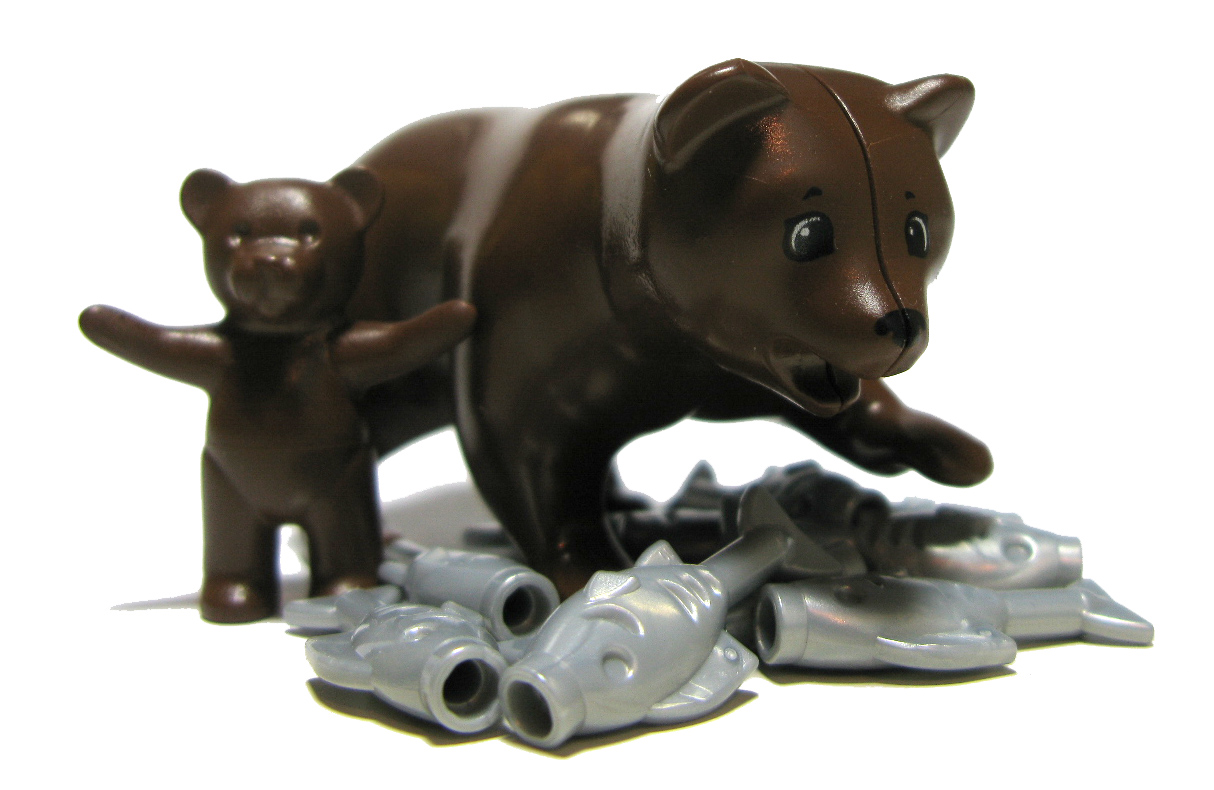 bear.jpg