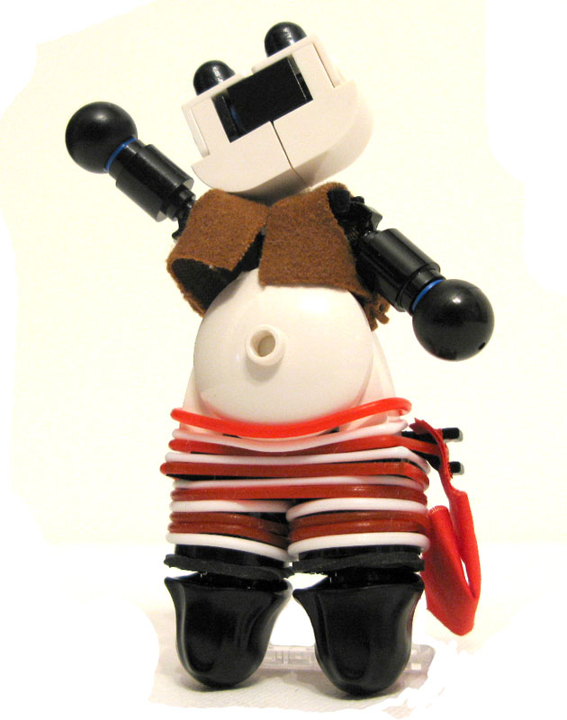 piratepanda1.jpg