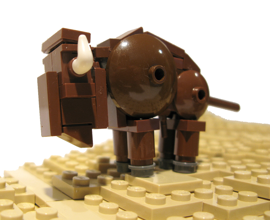 bisoncalf.jpg
