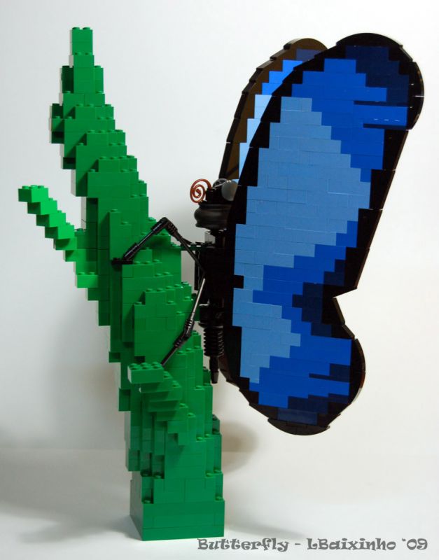 butterfly.jpg