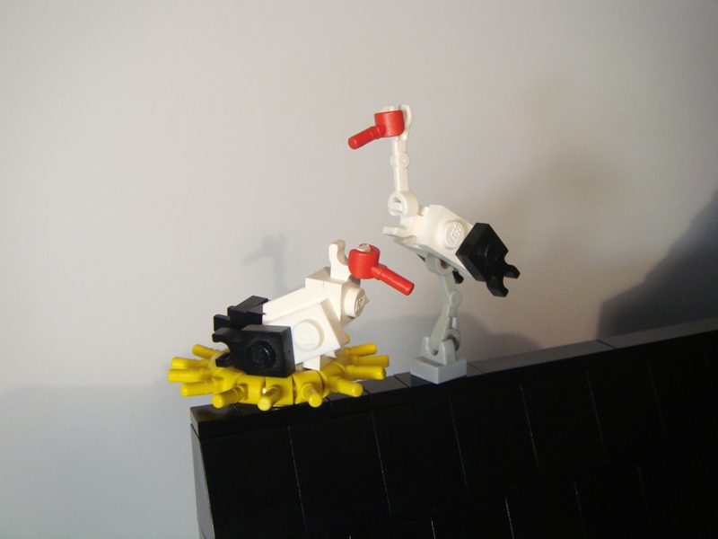 img08.jpg