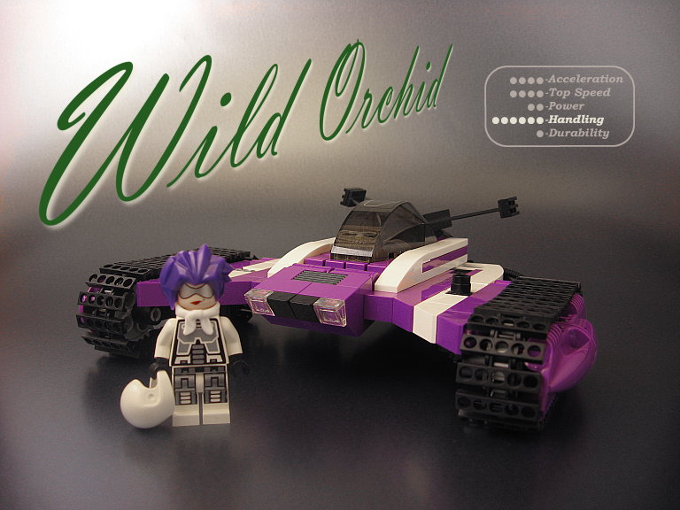 orchid00f2.jpg
