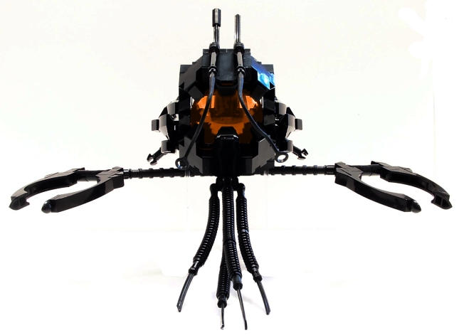 bf013.jpg