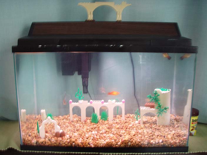fish_tank_00005.jpg
