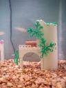 fish_tank_00003.jpg
