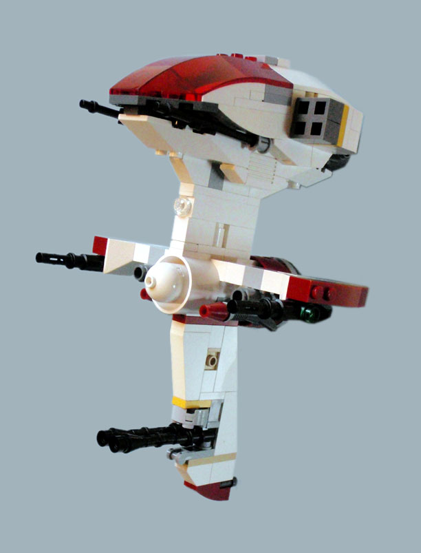 caracara_07.jpg